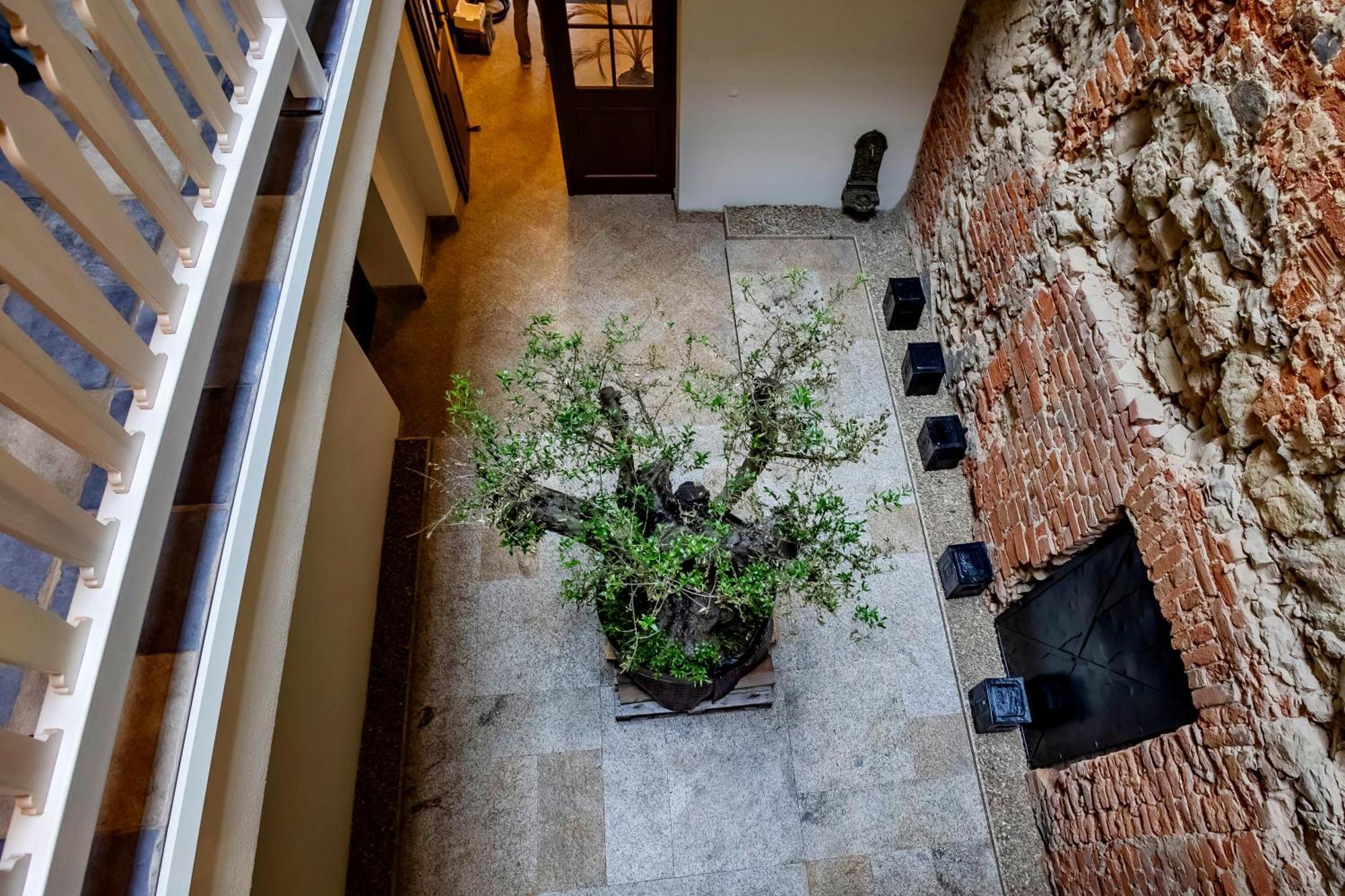 Lubartowska 19 Apartamenty Lublin Zewnętrze zdjęcie
