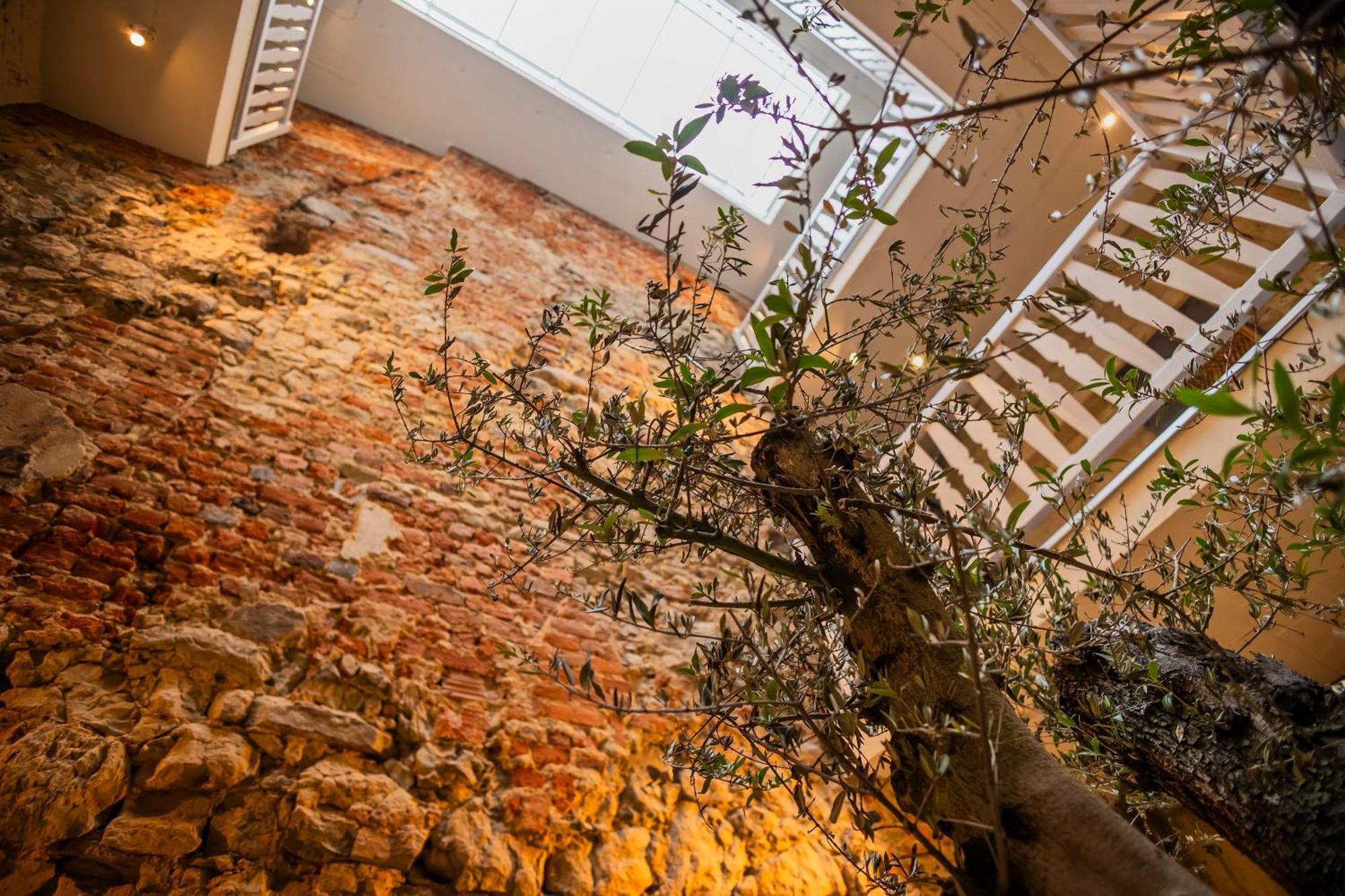 Lubartowska 19 Apartamenty Lublin Zewnętrze zdjęcie